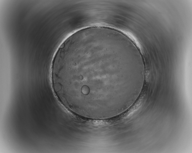 X0000093620903200710151258