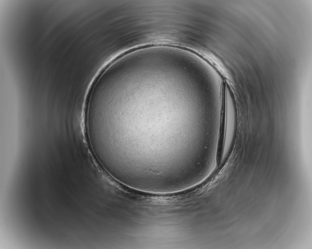X0000093620904200710151258
