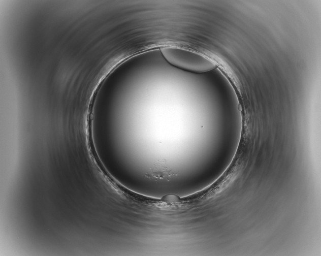 X0000093620906200710151258