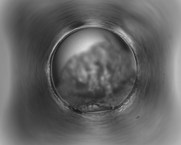 X0000093620907200710151258