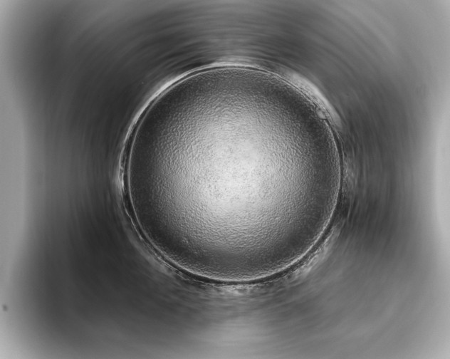 X0000093620908200710151258