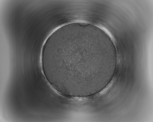 X0000093620910200710151258