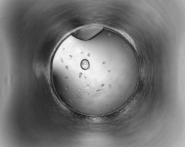 X0000093620911200710151258