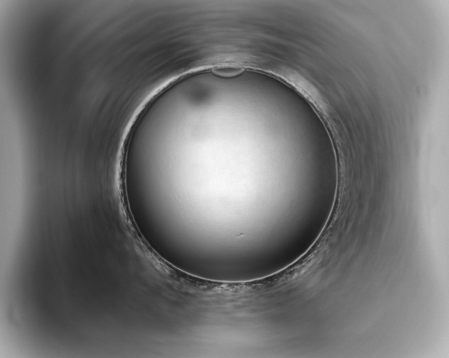 X0000093620912200710151258