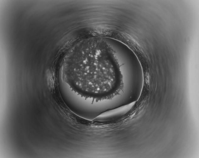 X0000093620915200710151258