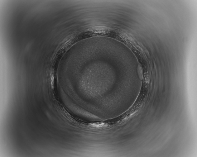 X0000093620916200710151258