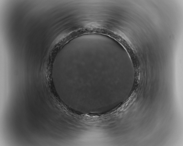 X0000093620919200710151258