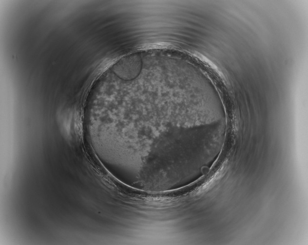 X0000093620921200710151258