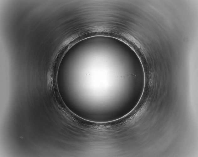 X0000093620922200710151258