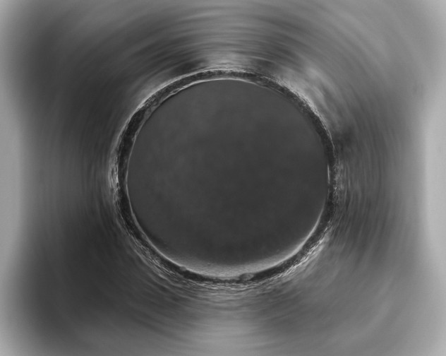 X0000093620923200710151258