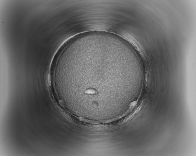 X0000093620924200710151258