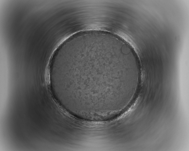 X0000093620925200710151258