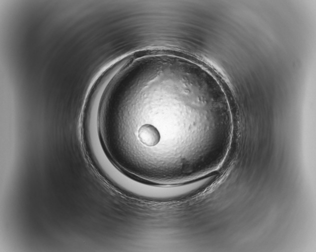 X0000093620928200710151258