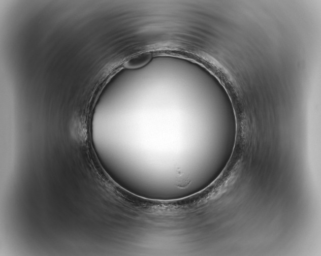 X0000093620929200710151258