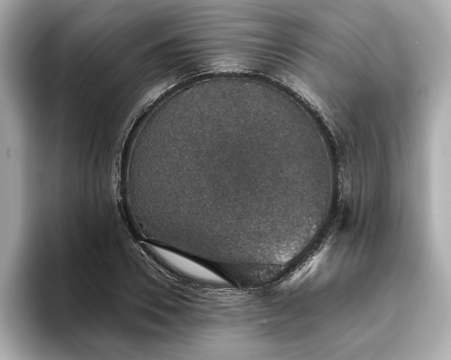 X0000093620930200710151258