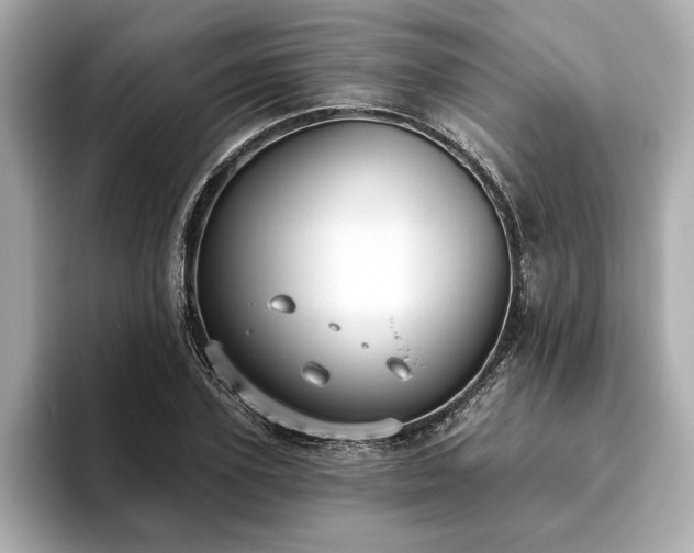 X0000093620931200710151258