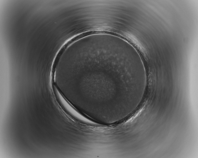 X0000093620932200710151258