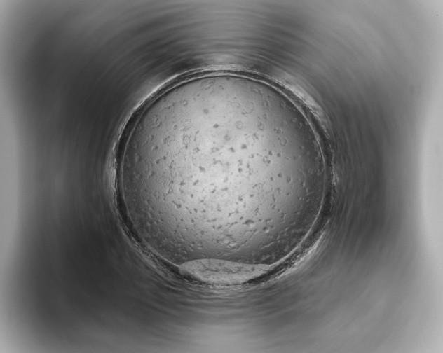 X0000093620933200710151258