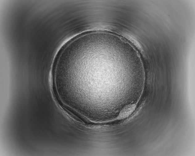 X0000093620936200710151258