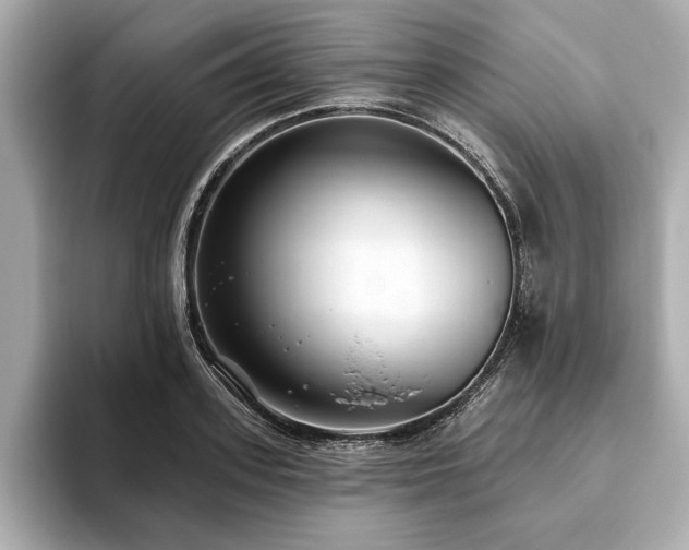 X0000093620939200710151258
