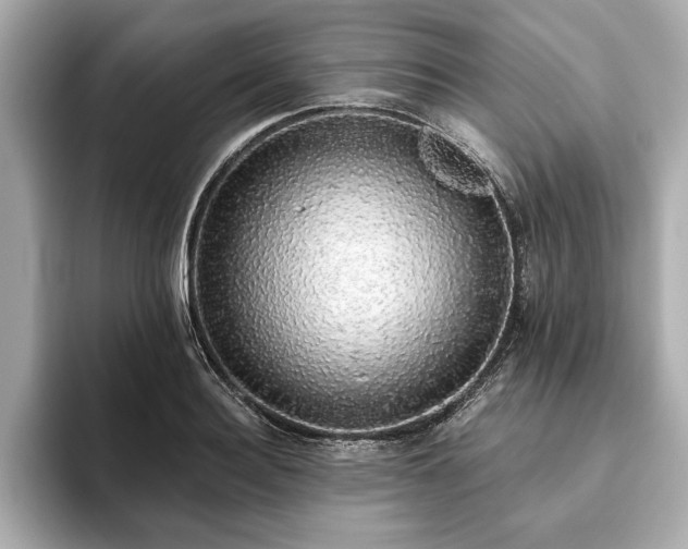 X0000093620940200710151258