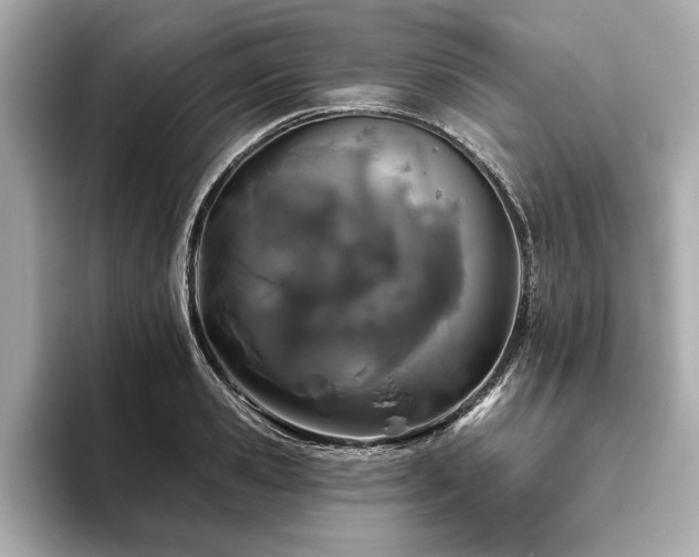 X0000093620941200710151258
