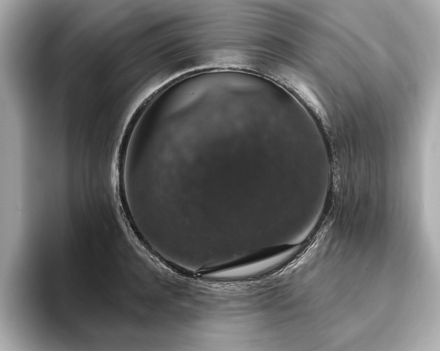 X0000093620944200710151258