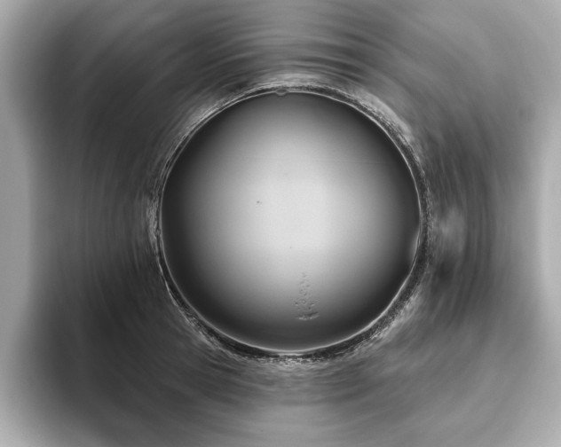 X0000093620945200710151258
