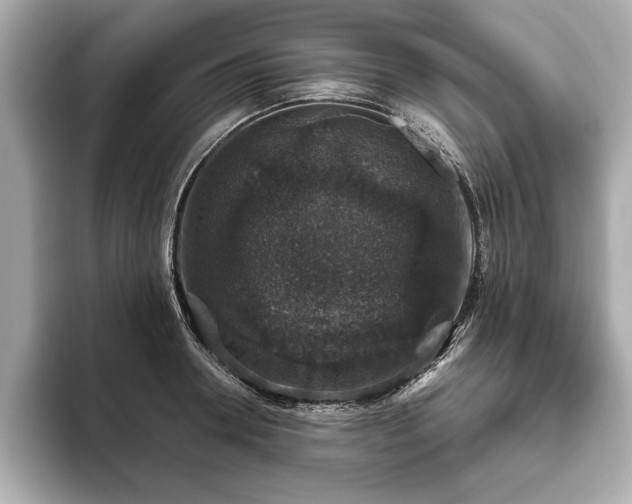 X0000093620946200710151258