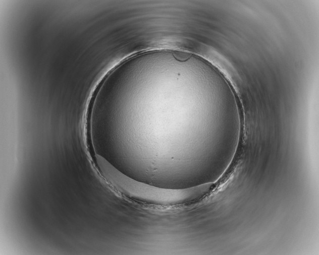 X0000093620949200710151258