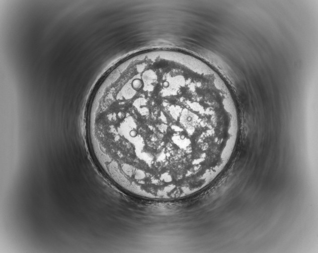 X0000093620950200710151258