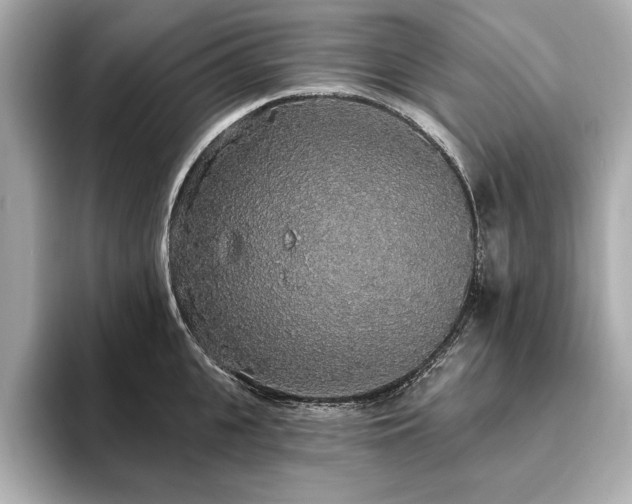 X0000093620951200710151258
