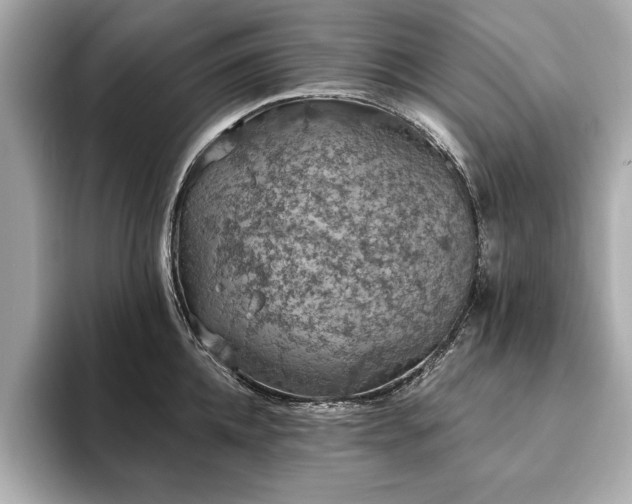 X0000093620952200710151258