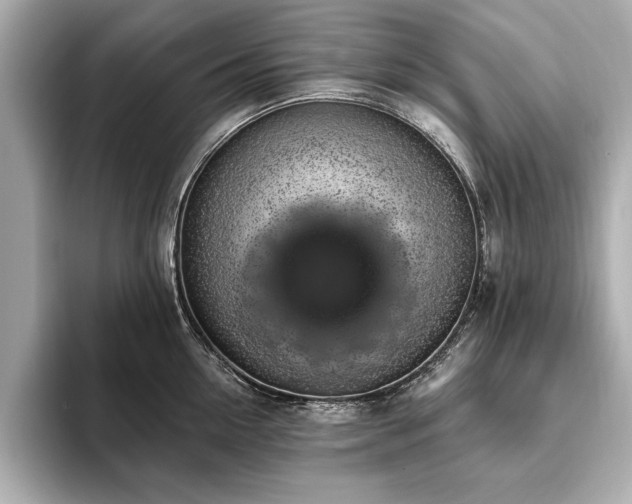 X0000093620954200710151258