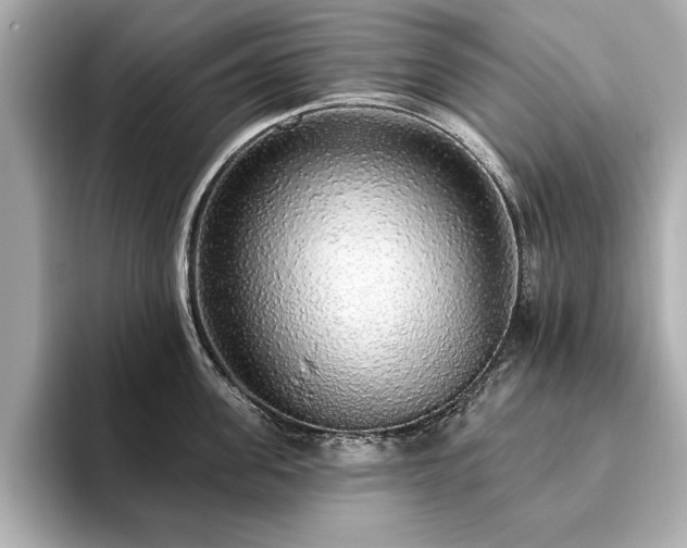 X0000093620955200710151258
