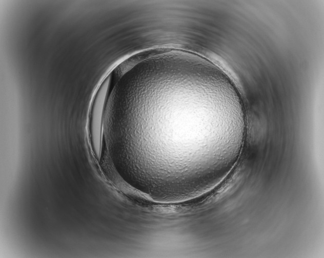 X0000093620956200710151258