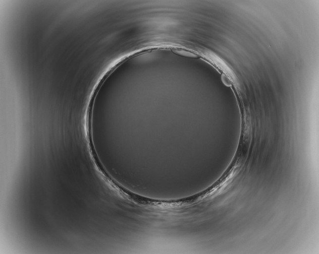 X0000093620958200710151258