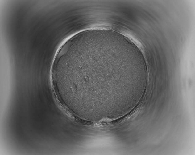 X0000093620960200710151258