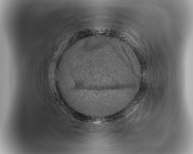 X0000093620961200710151258