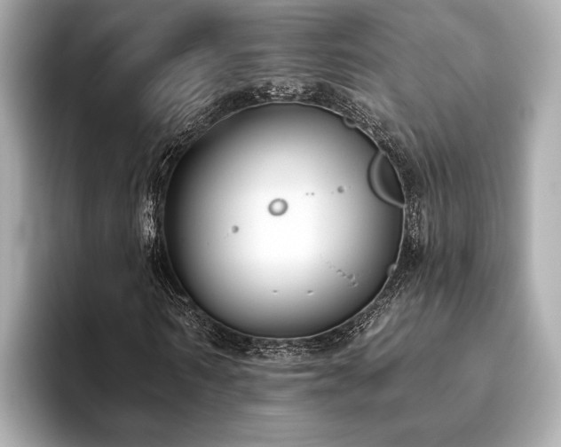 X0000093620962200710151258