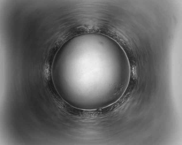 X0000093620963200710151258