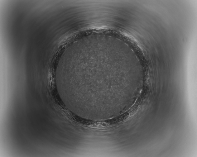 X0000093620966200710151257