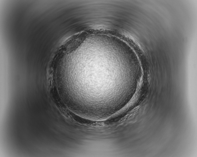 X0000093620968200710151257