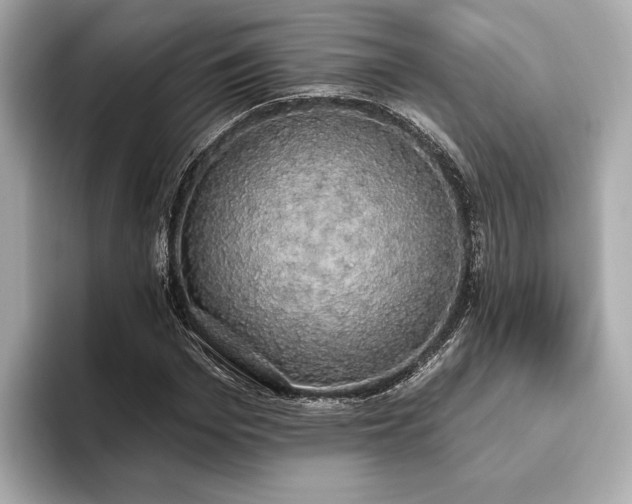 X0000093620969200710151257