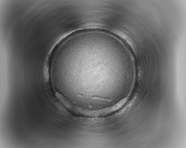 X0000093620973200710151257