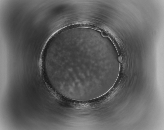 X0000093620975200710151257