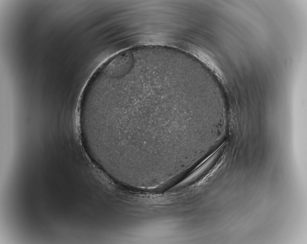 X0000093620976200710151257