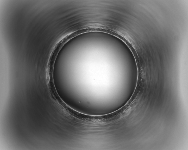X0000093620979200710151257