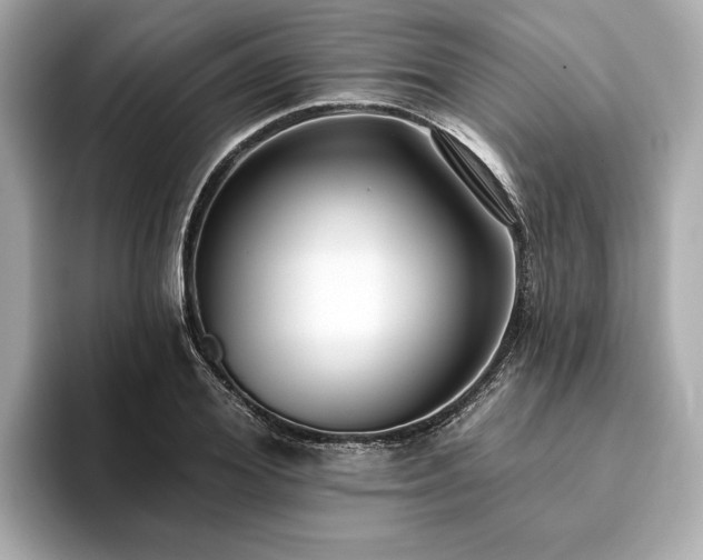 X0000093620980200710151257