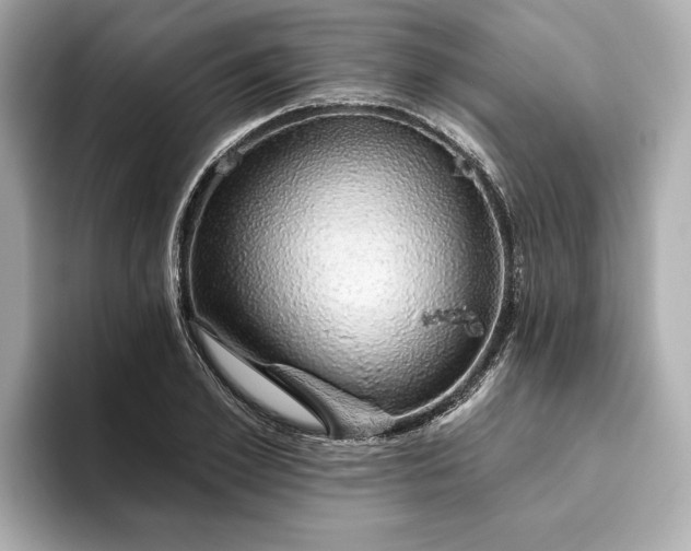X0000093620981200710151257